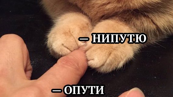 ������ ������������� ������� �������� � ���� �� ������ �������, �����