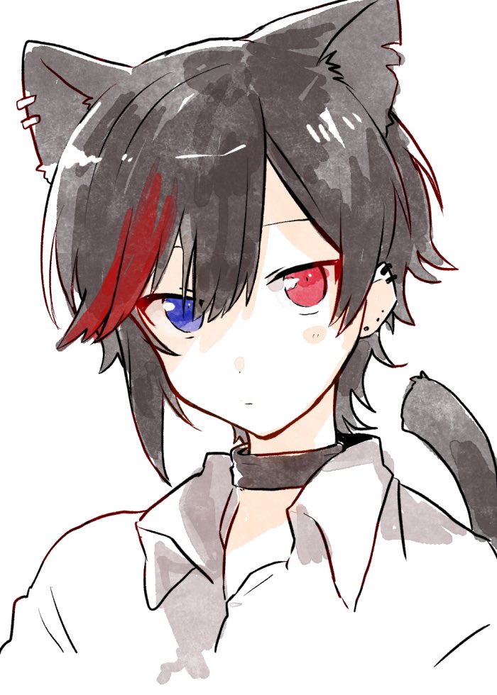 独特な店 ねこくんイラスト キャラクターグッズ Medeor In