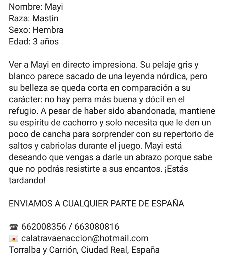 Calatrava en Acción tweet media