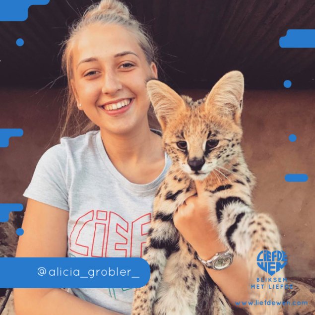 Ons hier by #LiefdeWen is meer honde-liefhebbers, want #Liefde is nie katterig nie, maar hierdie is nie 'n huiskat nie, sooo... 😂

Baie dankie vir jou #Ondersteuning @alicia_grobler_  😁