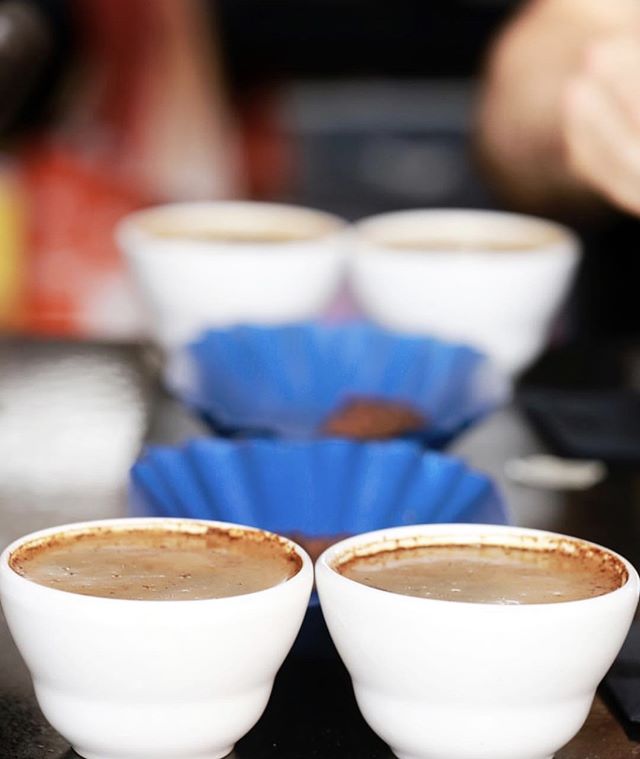 Join us for our weekly cupping from 10am tomorrow to explore the latest and most exotic coffee blends with our head roaster ☕☕☕
.
.
.
.
.
#melbournecoffee #melbournecafe #melbournecafes  #melbourneeats #melbournelife…

📸 instagram.com/p/B0P2qujgqQz/ via tweet.photo