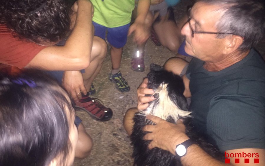 Aquesta passada nit, #GRAESub, la veterinària del servei i #bomberscat de Manresa han treballat en el rescat d'una gosseta de 12 anys que havia caigut a una sèquia de Sallent. Se l'ha localitzada amb hipotèrmia, però sana i estàlvia sota una tapa de registre
