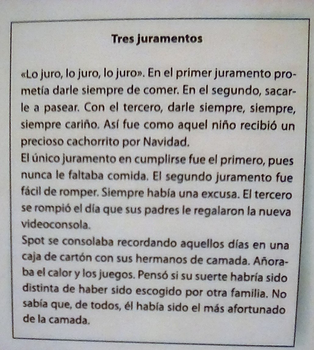 #Miavestruzdecolores 25 #microrrelatos sobre #animales,  para adultos con alma de niño: #topventas #masvendido en <a href="/Amazon/">Amazon</a> en #antologías de #fantasia.
#LecturaRecomendada y #Novedad en <a href="/Amazon/">Amazon</a>:
👉amzn.to/2YSI2m8
#LoMasLeidoDeLaSemana ¡y #gratis con #KindleUnlimited!