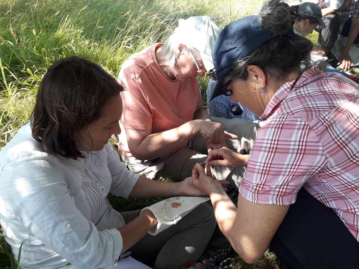 Out in the #Cotswolds with <a href="/savebutterflies/">Butterfly Conservation 🦋</a> #LimestonesLivingLegacies &amp; @Kew_MSBUK learning how to assess plant populations &amp; collect seed today. Beautiful day for it but glad we found some shade! @JenGilbertBC