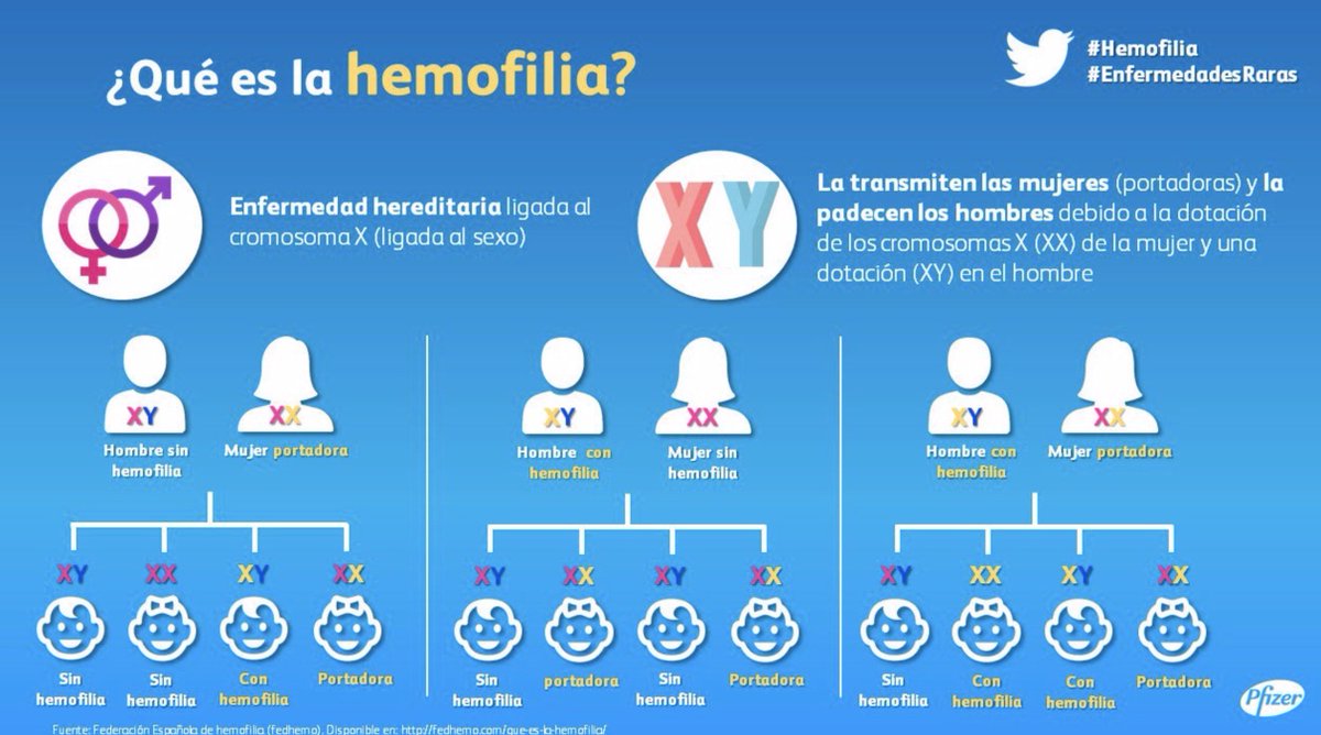 La mayoría de los casos de #Hemofilia son hereditarios: afecta principalmente a los hombres aunque la transmiten las mujeres. Lo explicamos en esta infografía <a href="/fedhemo/">FEDHEMO - Hemofilia</a> <a href="/hemofiliamadrid/">Ashemadrid</a> @noinvisibles #EnfermedadesRaras