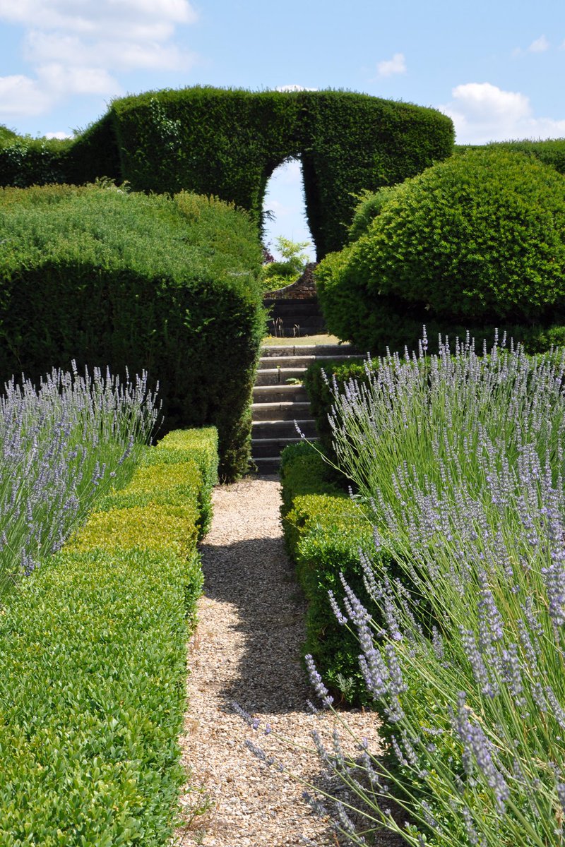 Danesfieldhouse's tweet photo. You never know what wonderful things lay outside the borders of the everyday until you explore for yourself!
#beauty #lavender #gardens #journey #discovery #life #lessons #englishcountryhouse #hotelgarden #smallluxuryhotels #spabreak #weekendaway #gardensofengland https://t.co/PzTeir19ve