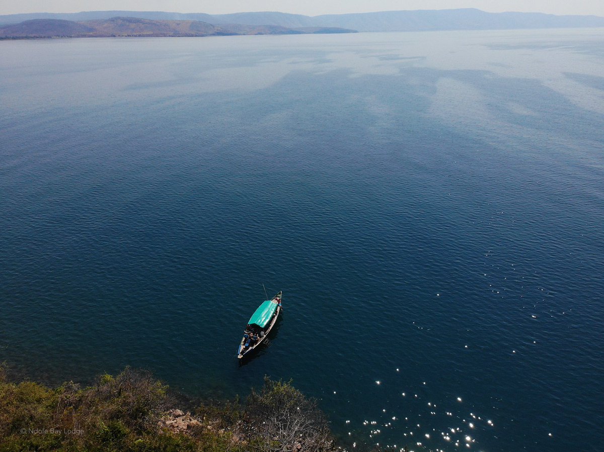 Lake Tanganyika is so vast that its labelled an inland sea, and you can see why from this image.

ndolebaylodge.com

#TravelTuesday
#Adventure
#inlandsea
#alittlepieceofparadise
#LakeTanganyika
#Zambia
#Africa