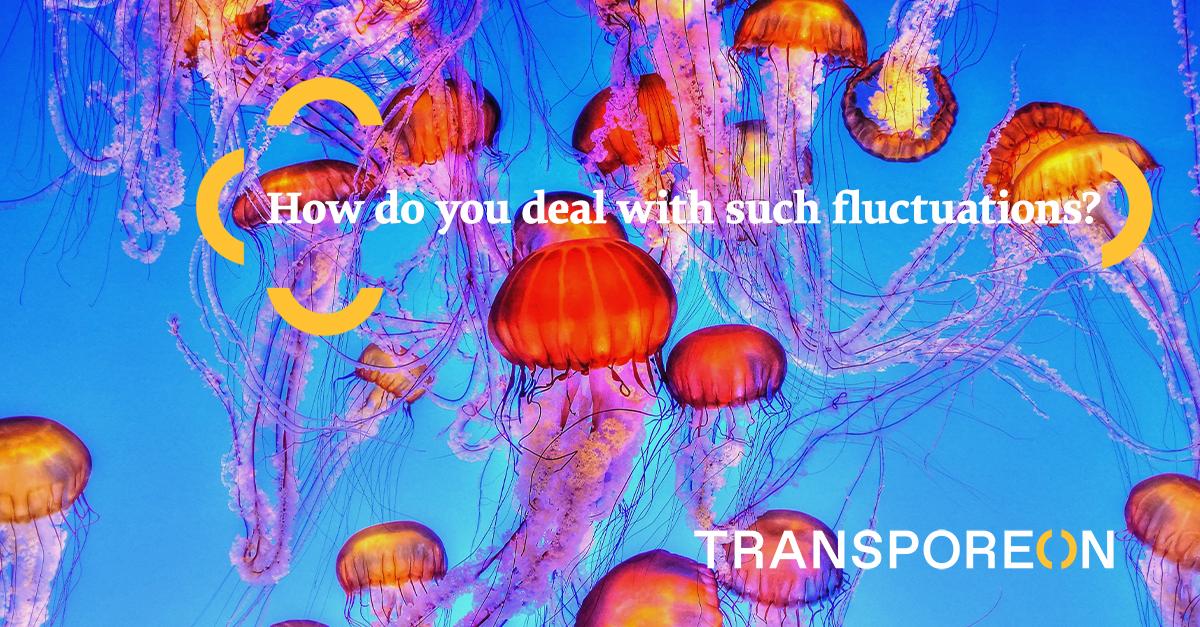 TRANSPOREON Group US tweet media