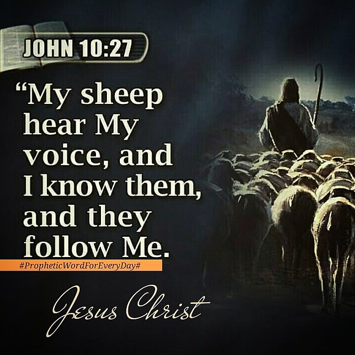 ForProphetic's tweet image. 