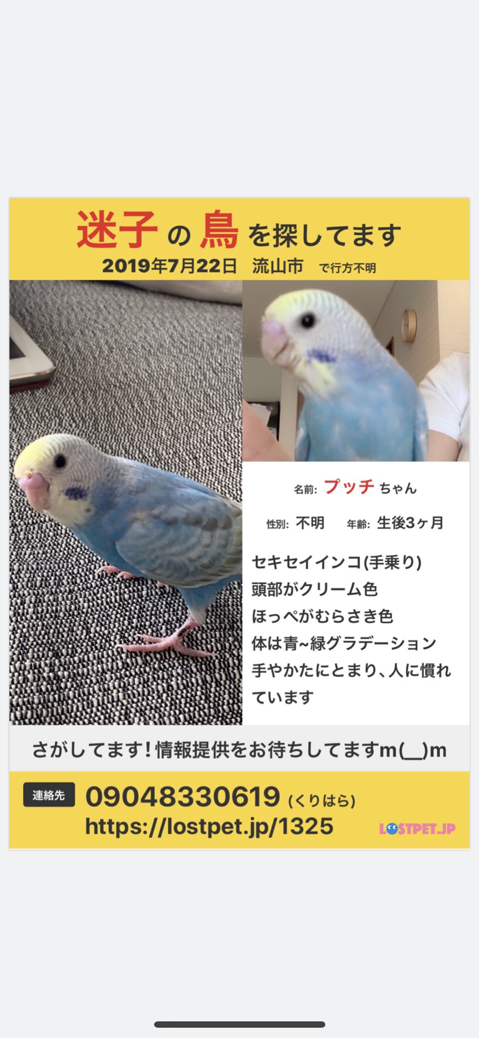 まいちん Ymm9zvq74yqpih9 Twitter