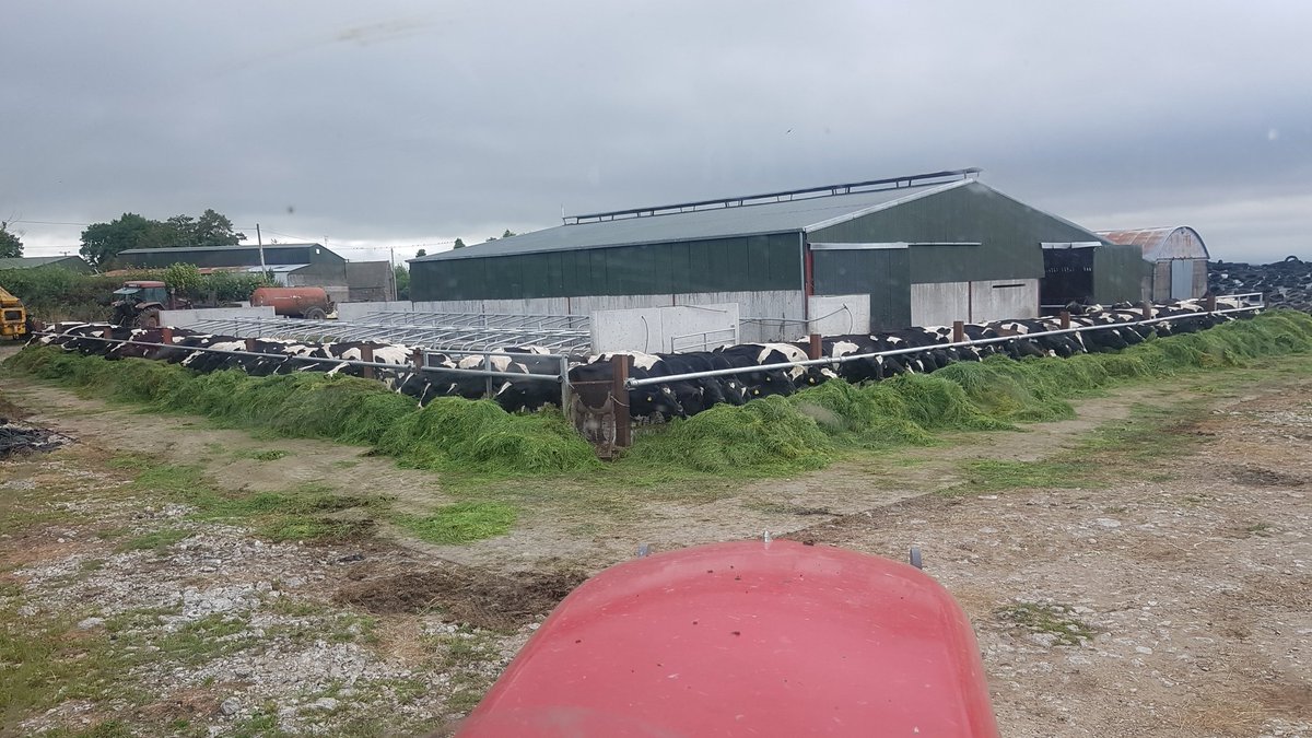 Sean Corby tweet media