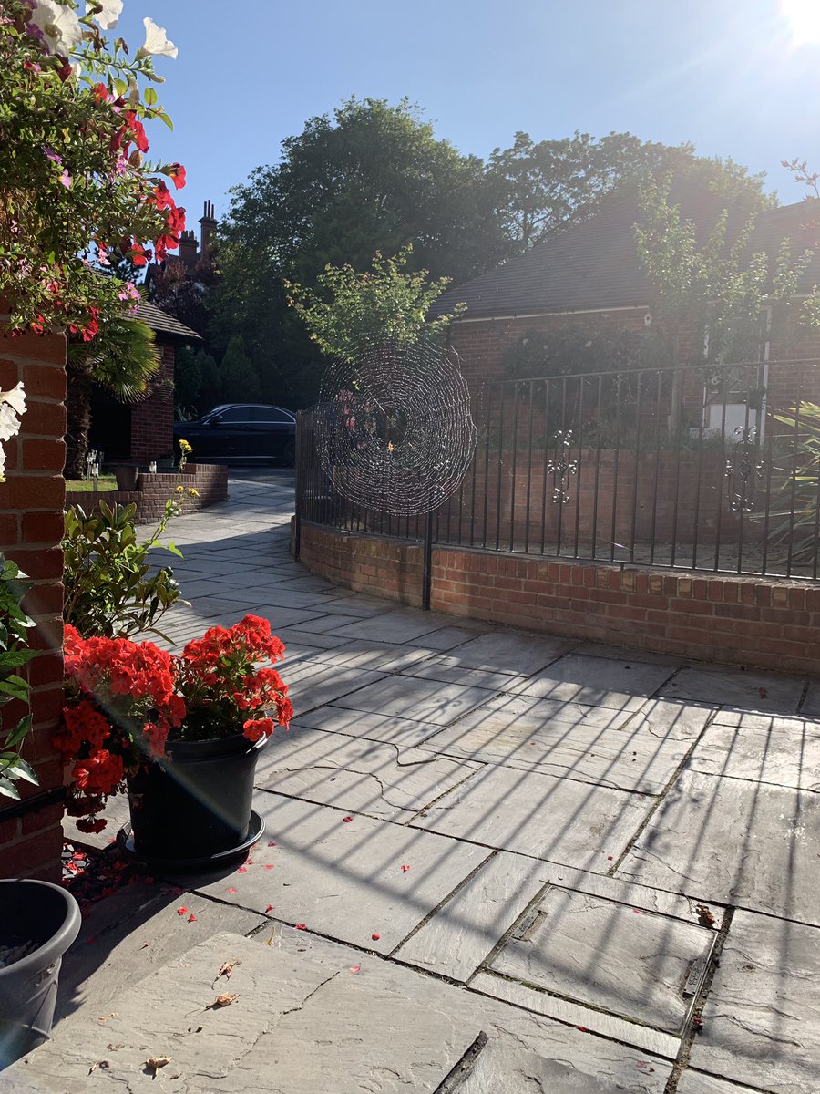 danieldaviesRPL's tweet image. This little fella had built a web across our front door this morning - now successfully relocated to another part of the garden 🕷🕸