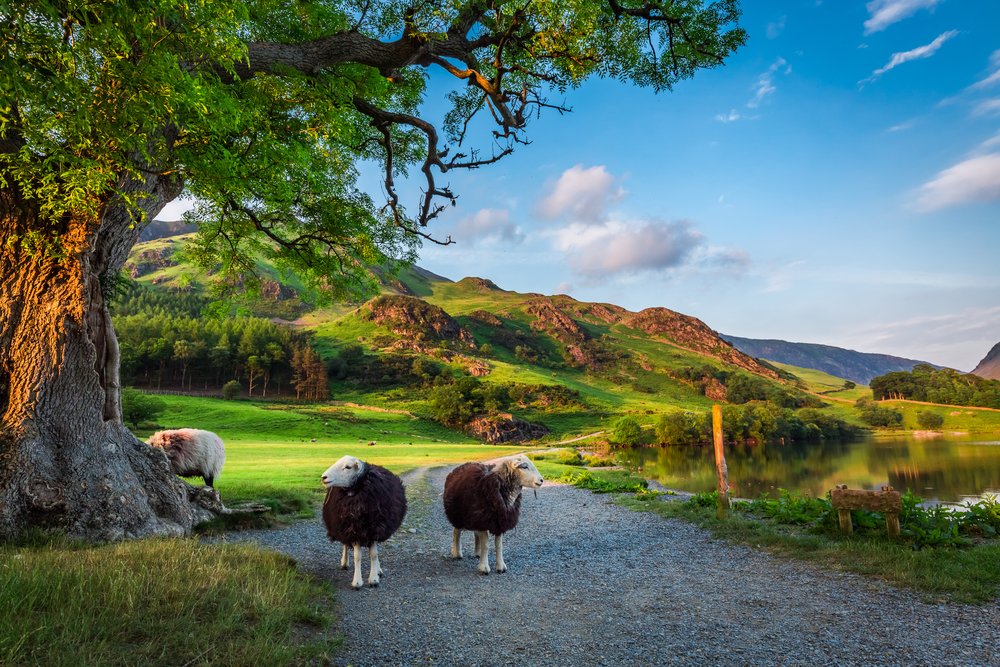DublinAirport's tweet photo. To celebrate @FlyLoganair's Carlisle service from @DublinAirport, we’ve got 2 return flights to give away. To enter, just make sure you're following us &amp; retweet one of our competition tweets using #DUBCarlisle More at https://t.co/965N1VIk3c https://t.co/cTPCfNvDP2