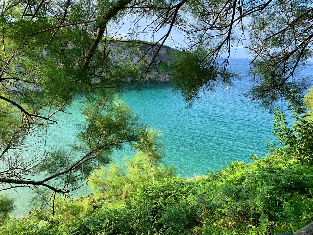 Jesús Mazón tweet media