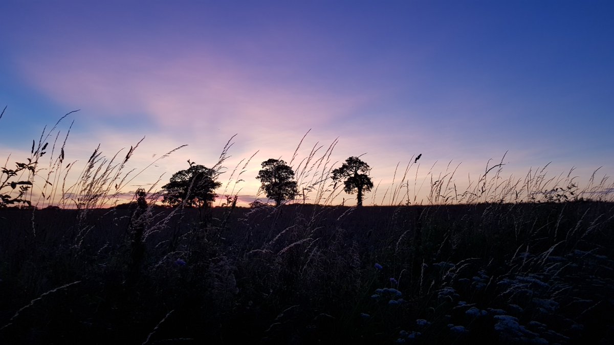 After the sun went down 22-July-19. Taken with a phone camera and no retouching!!  #samsungnote8 @BBCLookEast  @vstnorthnorfolk @metoffice @WizardWeather @PhotographyWx #ThePhotoHour #StormHour #loveukweather @EarthandClouds @EarthandClouds2 @wextweets