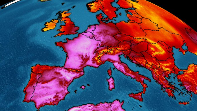 Ver imagen en Twitter