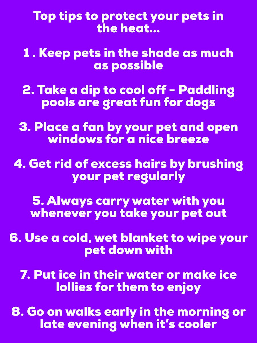 It’s important to keep our pets cool on these hot summer days! Here are our top tips to protect your pets in the heat:
