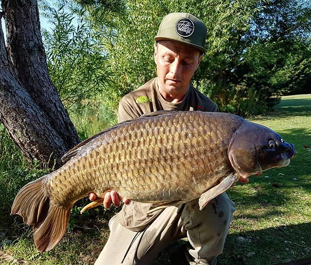 A 21lb Common for Curly #commoncarp #carpfishing #carp #crowsheathfishery #carplake #carplife #fishing🐟 #fishing #fishing🎣 #filthyhooker #fishingislife #fishinglife #fishinguk #dayticketfishing #dayticket #essex ift.tt/2MdixbI