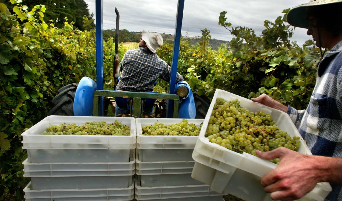 BHRCmedia's tweet photo. Supermarket chain, @Coles, aligns with alliance of unions to address worker exploitation in Australian fresh food industry 👍 https://t.co/Z5ojti97dk | #SupplyChains https://t.co/sVulXOTU5U