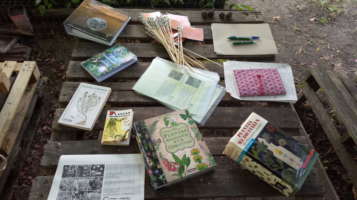 adtgalicia's tweet photo. Dentro das actividades do #veránEarte organizamos hoxe martes 23 un Roteiro de Herbas Menciñeiras, Lugar: Horta da Terra, rúa dos ponxos (Barrrio de O Polvorín) #Ourense https://t.co/6gT7IHjtGr … … … … … … @escuaou #móllate #vea19 https://t.co/1TG9P2bxXd