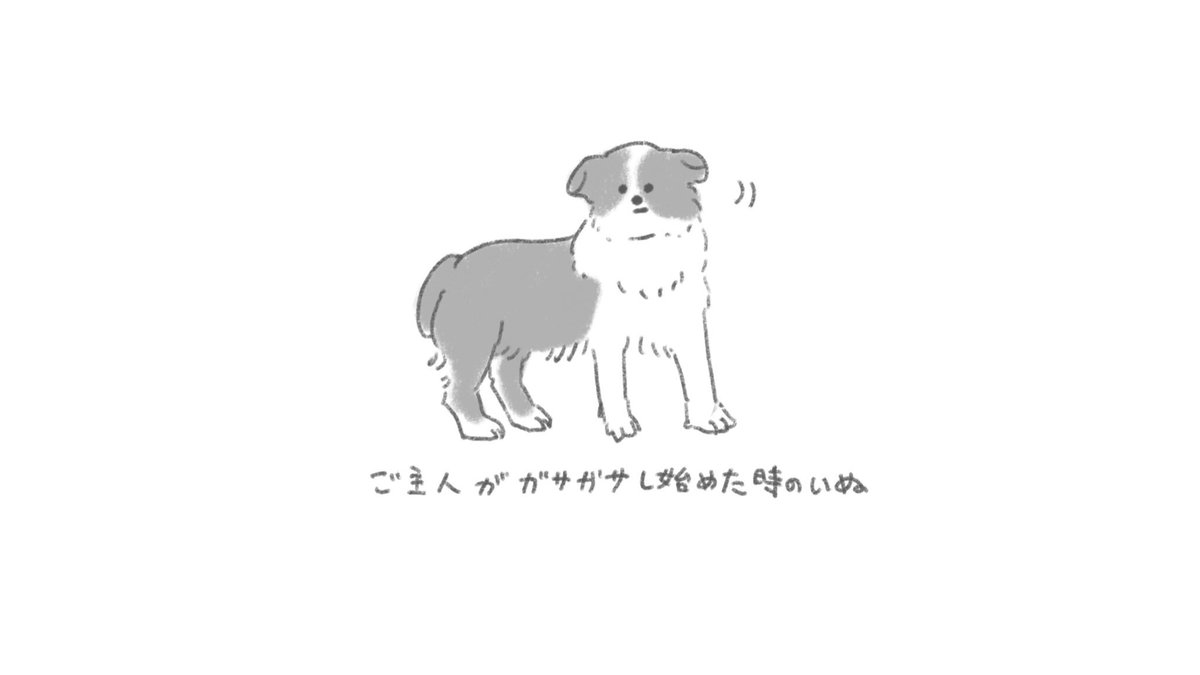 いぬ 