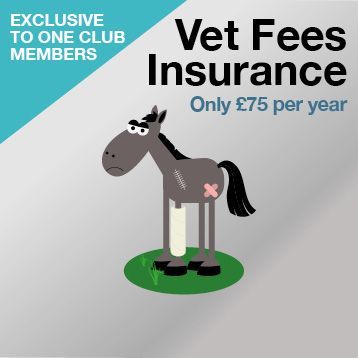 G_EquestrianUK's tweet photo. We are big supporters of @HarryHallRiding and just love how they have changed up Insurance, making it affordable for all with a smart packages, so no need to take an expensive policy that covers everything if you only need one area
https://t.co/vmAUGowP5b
#ponyhour #horse https://t.co/1aIFGmgtPO