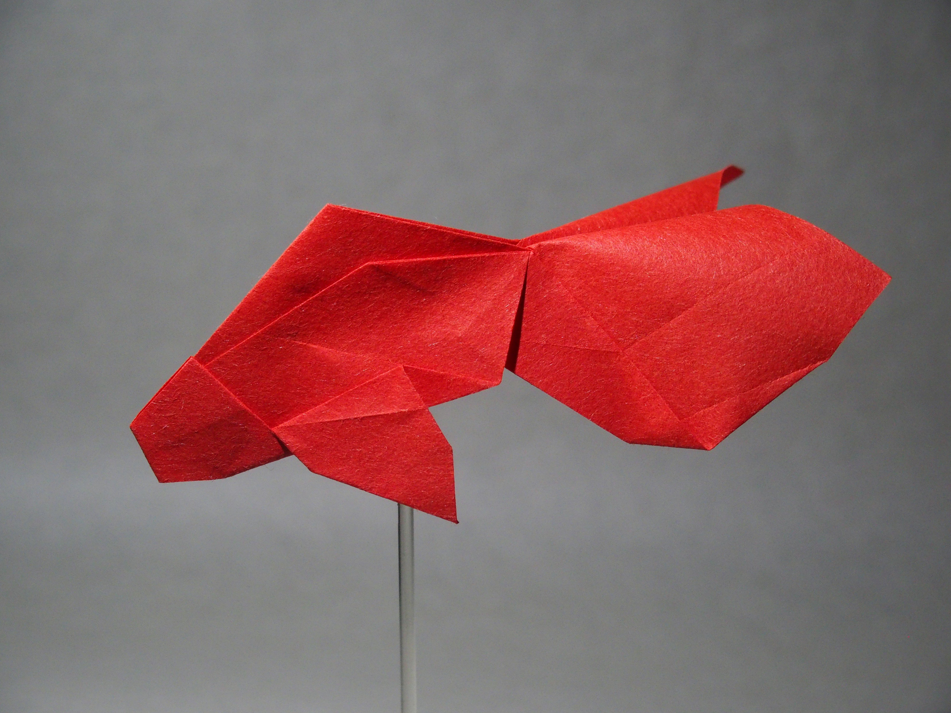 有澤悠河 折り紙ガシャポン発売中 掲載作品紹介 金魚 Corsoyardのorigamijewelryシリーズでも大好評の作品 尻尾のふんわり感がポイントです 変則角作品なので 少し変わった折り工程が楽しめます カワ難おりがみ 金魚 T Co