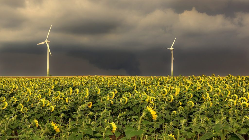 Die Energiewende erzeugt erhebliche Risiken für deutsche Unternehmen. Die Herausforderungen sind dabei vielen nicht bekannt und ein schnelles Handeln ist erforderlich. Eine Analyse von Dr. Jörg Lichter handelsblattintelligence.com/2019/07/23/bla…