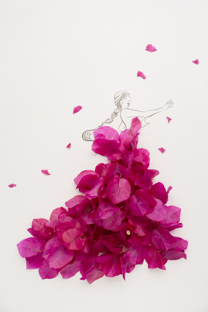 はな言葉 葉菜桜花子 على تويتر ブーゲンビリア 夏を彩るピンク色 花言葉は 情熱 あなたしか見えない