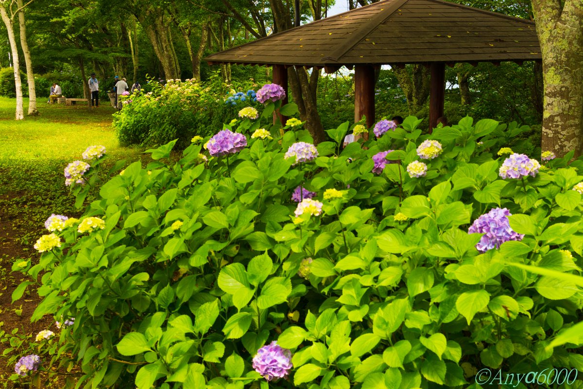 ナカバ平展望広場