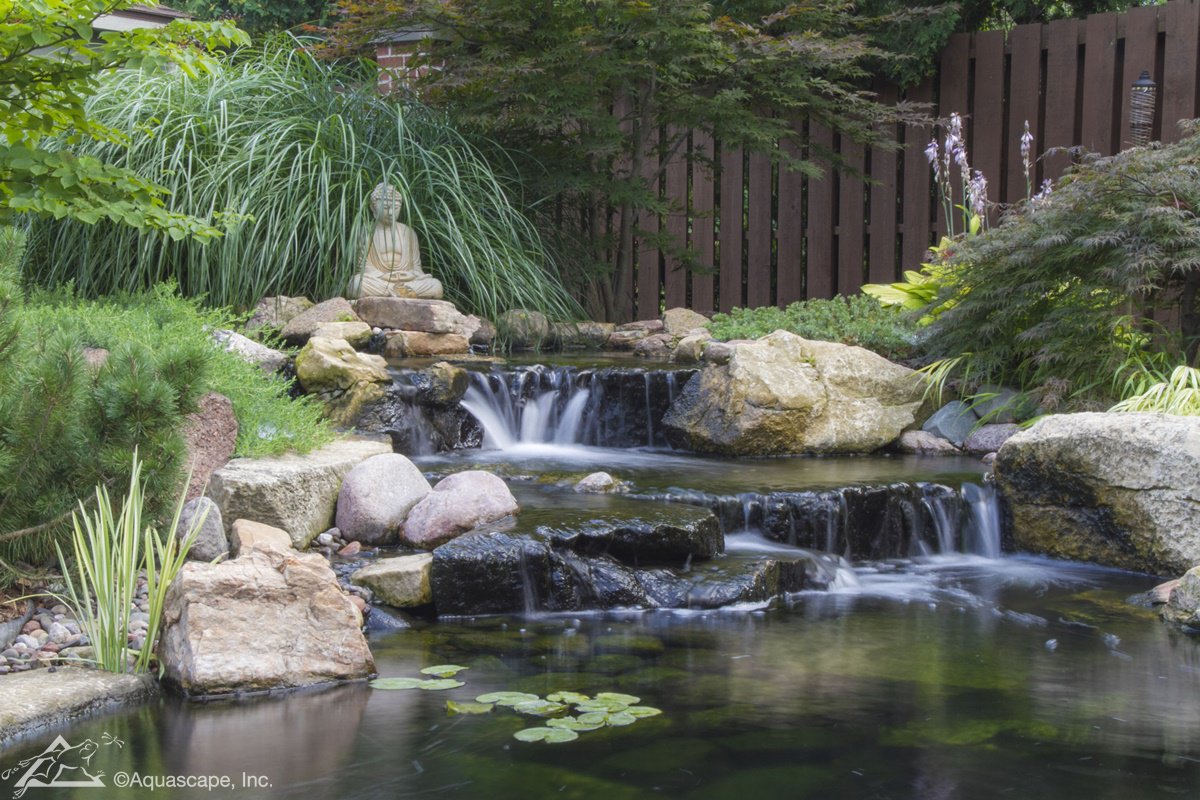 Aquascape Wetland Filter - Backyard Ideas
