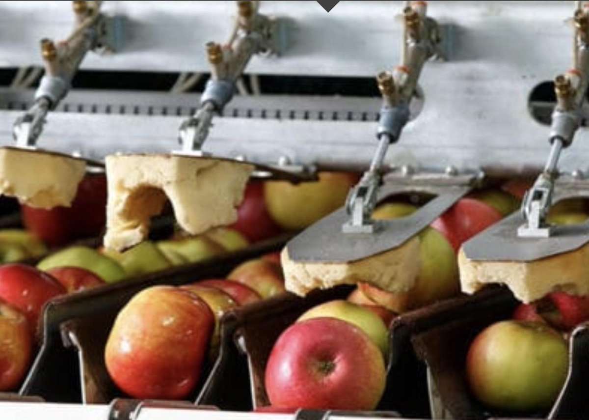 Lauraannaert's tweet image. Selon Jean-Louis Rastoin, le développement 'différenciant' plutôt que la production de masse peut sauver le modèle agricole français  alimentation-generale.fr/chronique/fili…
#compétitif #durable @Min_Agriculture @AlimentationGnr