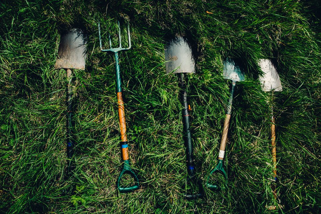 Does your garden tool shed need updating? I'm trialling traditional garden tools versus innovative new tools on my YouTube channel - youtube.com/watch?v=67Bghb… #GardeningTool #ToolTrials #OldVsNew