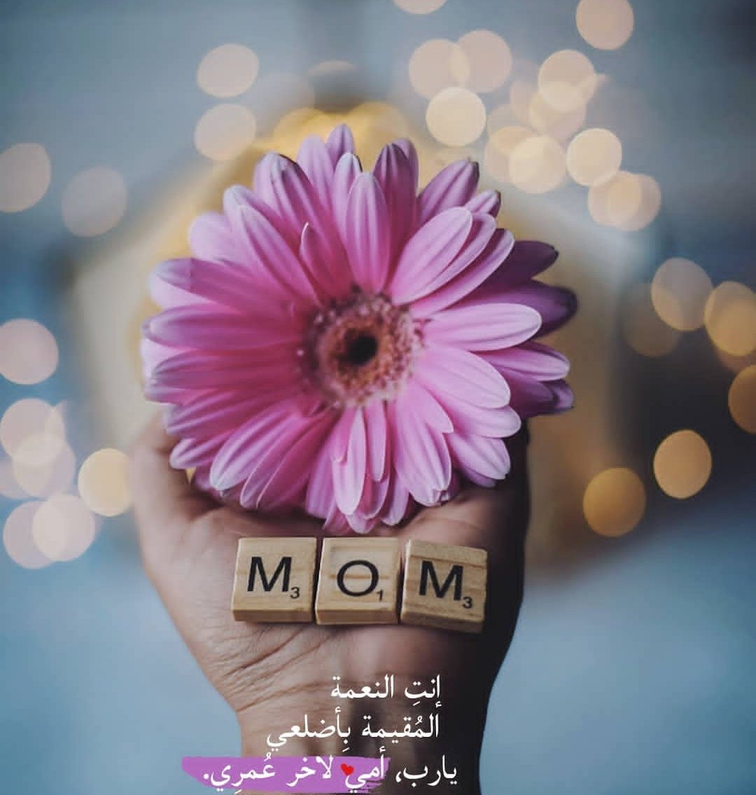 #الجميله_هي
أمي.. ومن سواها يُخلق جميلاً ❤️
كلما اكتشفت جانباً مشرقاً في حياتي، وجدت بصمات أمي عليه.. ❤️

(ربي احفظ لي أمي)