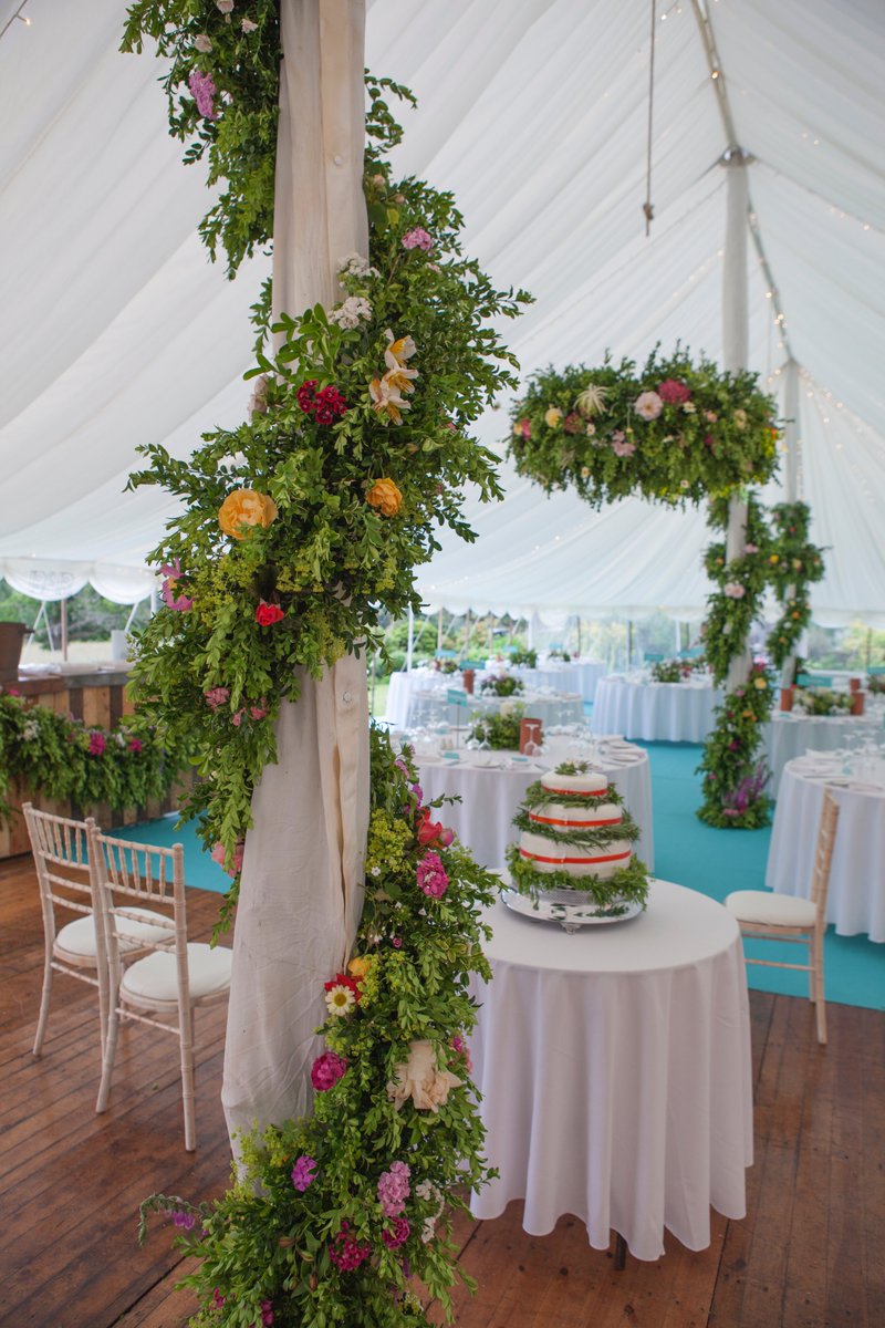 Best Intent Marquees tweet media