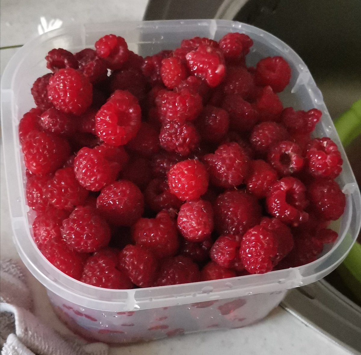 летние вкусности😋😋😋