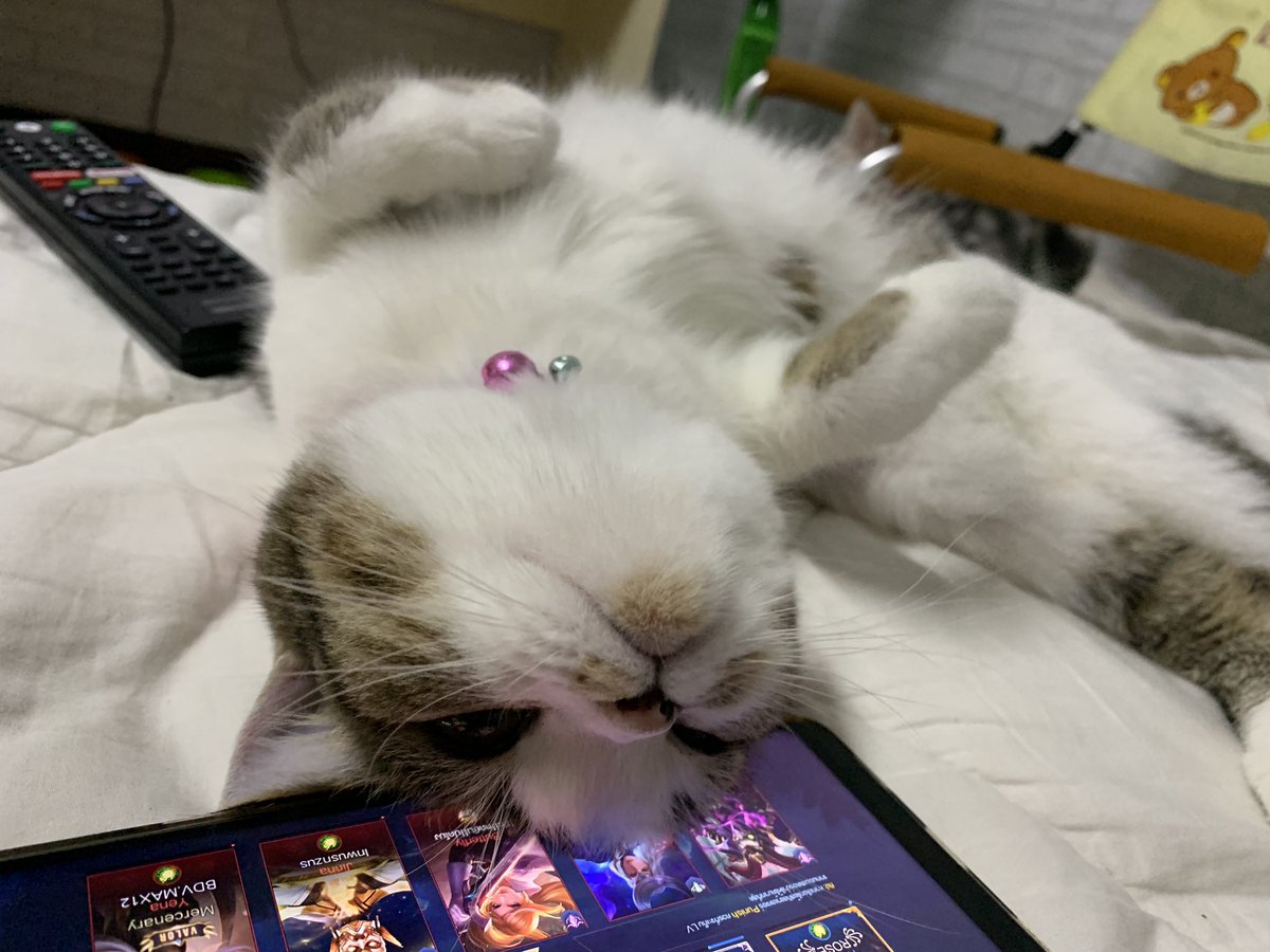 furbyfah's tweet photo. คนจะเล่นเกมส์มาอ้อนไรขนาดนั้นอ่ะคุณ https://t.co/dHC24jEBx8