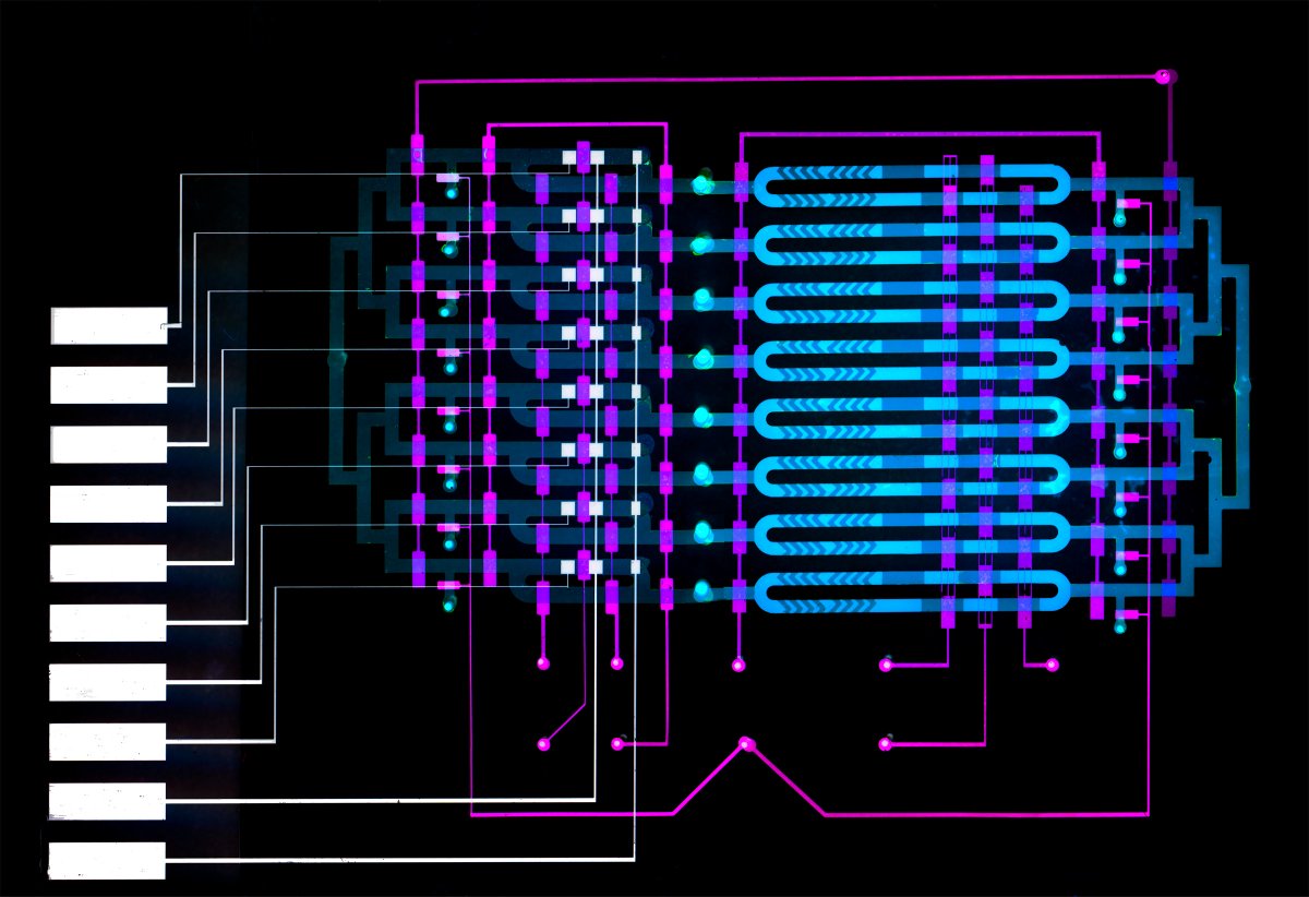 TheEngineerUK's tweet image. MIT sepsis sensor diagnoses condition in minutes theengineer.co.uk/mit-sepsis-sen… #innovation #engineering #technology