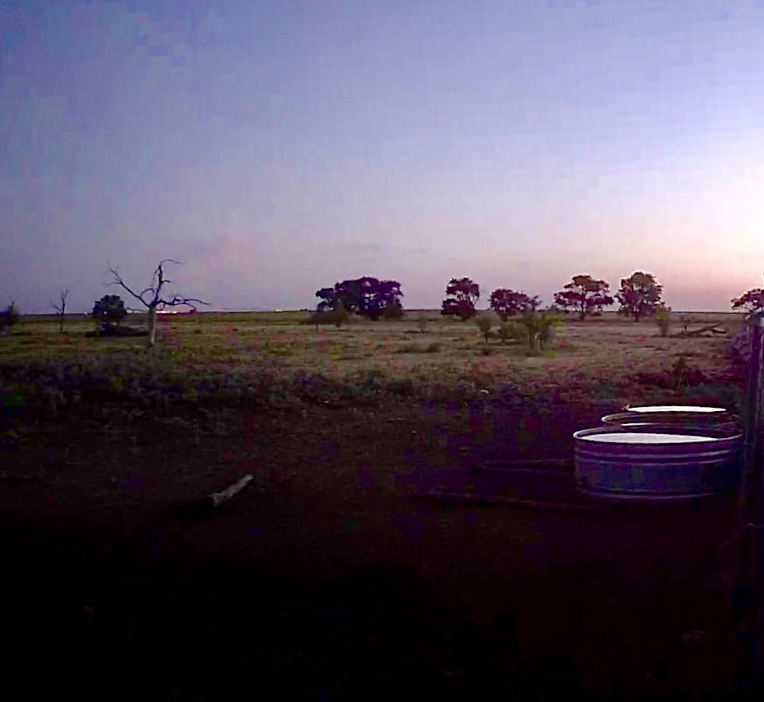LassMike's tweet photo. Tanks are full this West Texas Sunrise!
#CattleTech #RemoteCameras https://t.co/bIW2uVMDcP