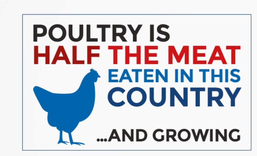 britishpoultry's tweet photo. The @BritishPoultry Council congratulates @BorisJohnson in his election as Conservative party leader &amp; urges him to ensure a sustainable supply of safe, nutritious &amp; affordable British food, to British standards, for everyone  @michaelgove #BritishFoodSecurity #BritishFoodValues https://t.co/hqHWgLiayM