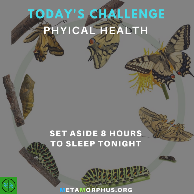 Metamorphus_org's tweet image. Today's Gratitude Challenge is to set aside 8 hours to sleep tonight.

Sleep allows for rest, rejuvenation and recovery for our mind, body and spirit. Having a good sleep can result in an increase of 33% efficiency in your day.

More at metamorphus.org