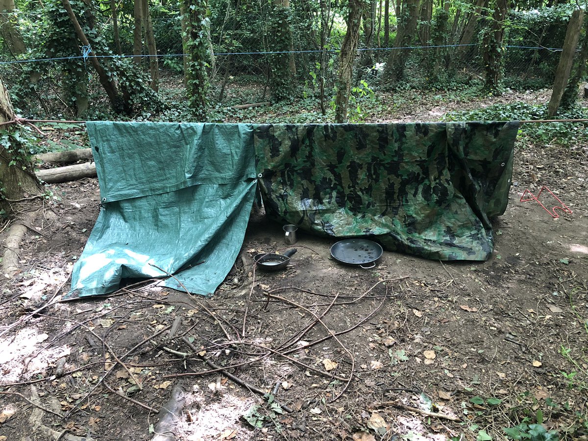 DanesfieldDen's tweet photo. What a great first day we had at Denfest! The kids have made their very own dens⛺️☀️ #theden #makingdens https://t.co/iRRTgfMVom