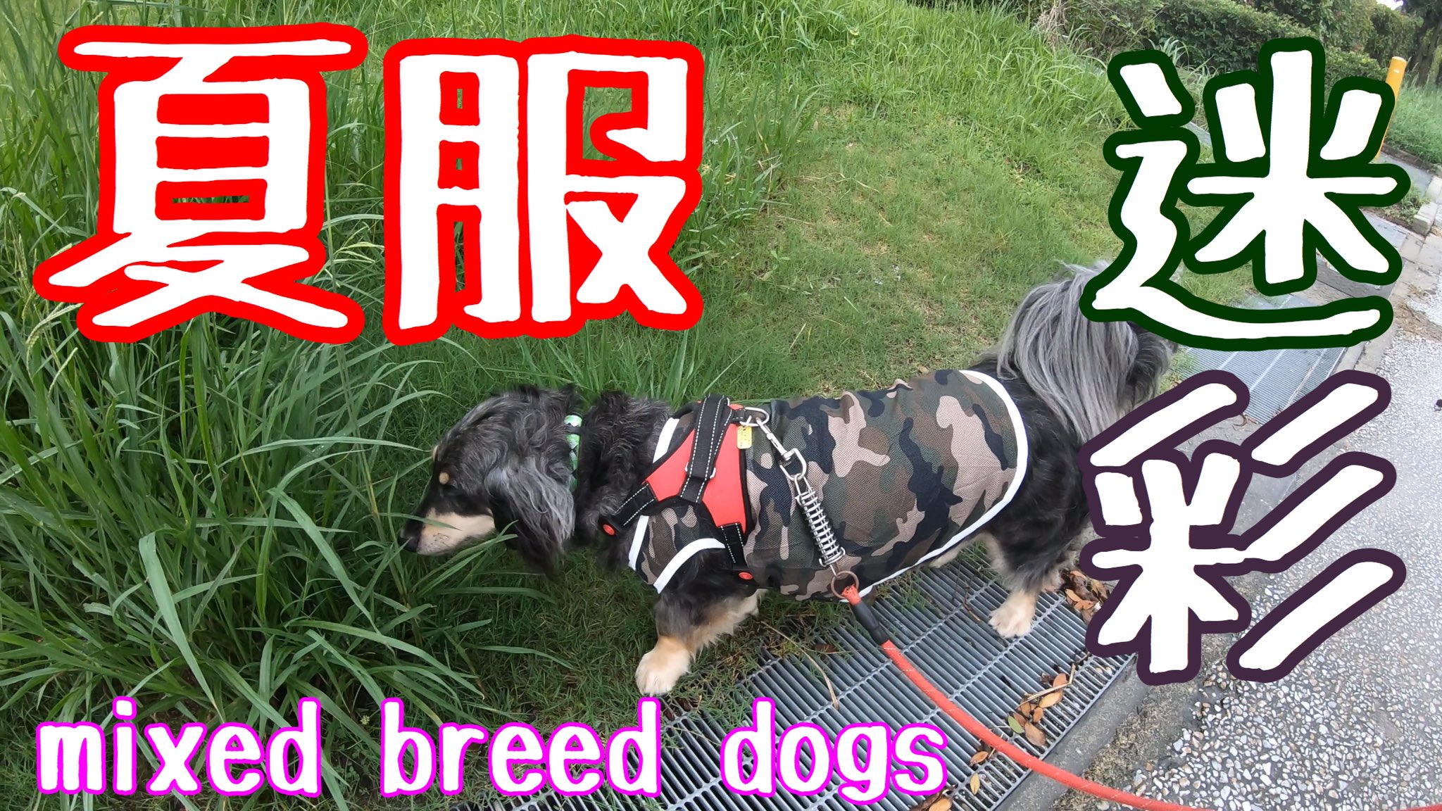 E8 8d E7 8a Ac Twitter પર શ ધ Twitter