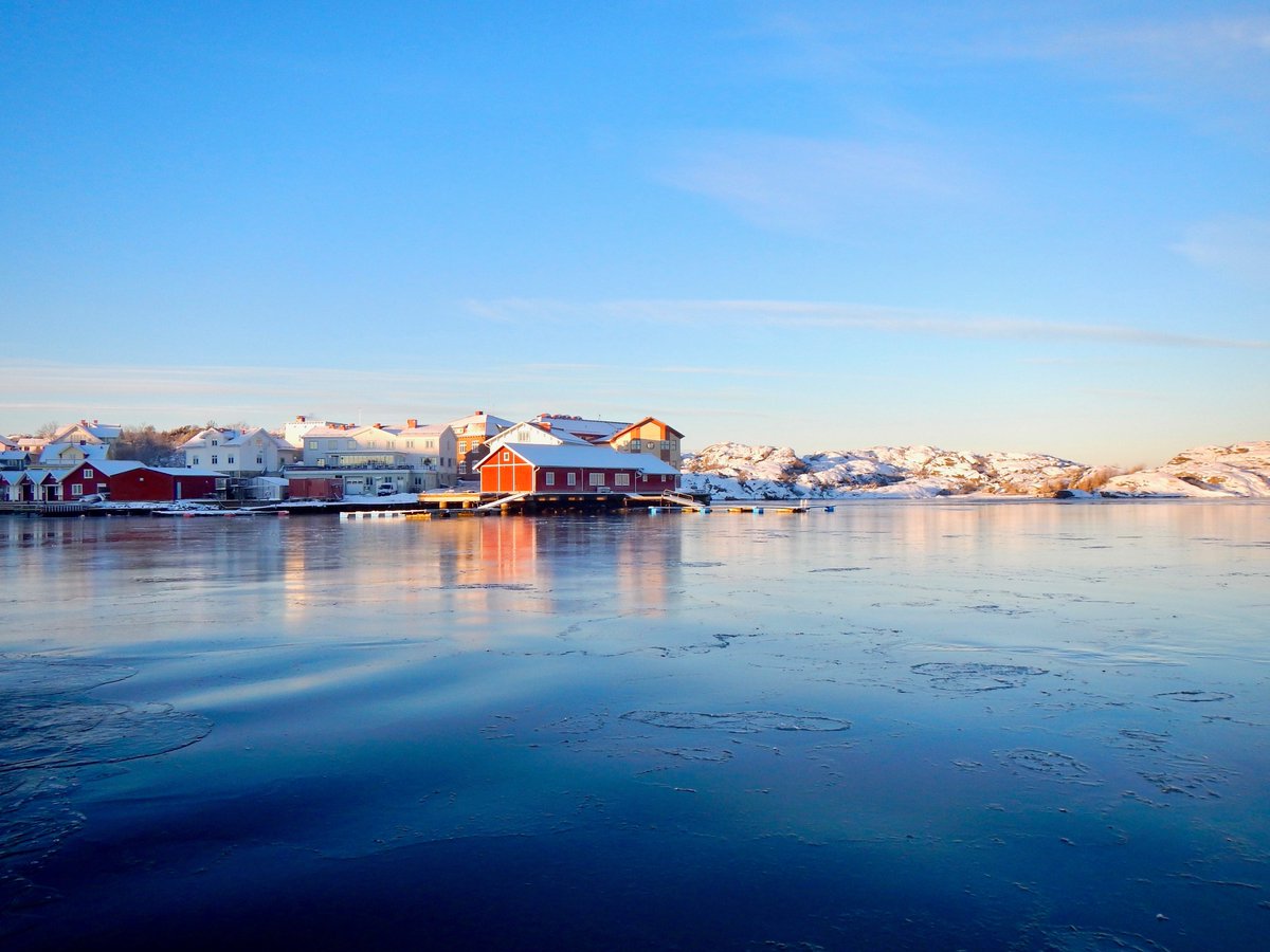tabstaveley's tweet image. Vad gör västkusttorsken när vattentemperaturen sjunker? 🐟❄️Läs våran senaste publikation och få svaret (gratis open access) -&amp;gt; onlinelibrary.wiley.com/doi/full/10.10…
#forskning #fishtelemetry #conservation