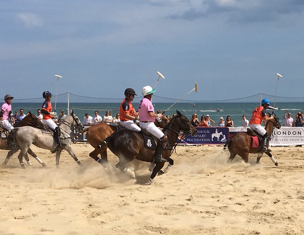 HouseholdCavalry FDN tweet media