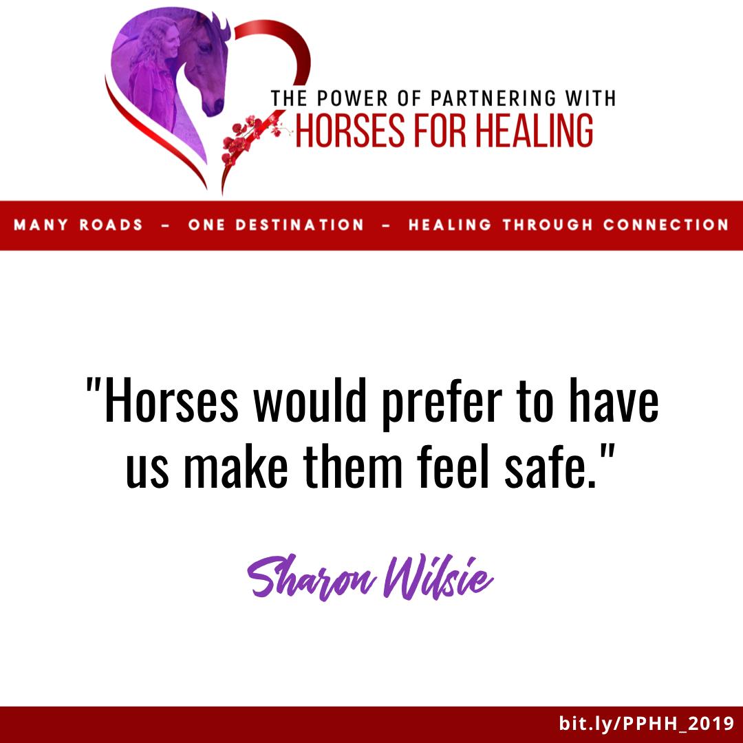UnbridledChange's tweet photo. The Power of Partnering with Horses for Healing⠀
⠀
If you missed our virtual conference last July 8th to 10th, you can still register for our VIP access - $47⠀
⠀
Register here: https://t.co/jZfTjZjJ1Q
⠀
#equine #virtualconference #horse #horses #equinelovers #onlinesummit https://t.co/ure6rUK8pC