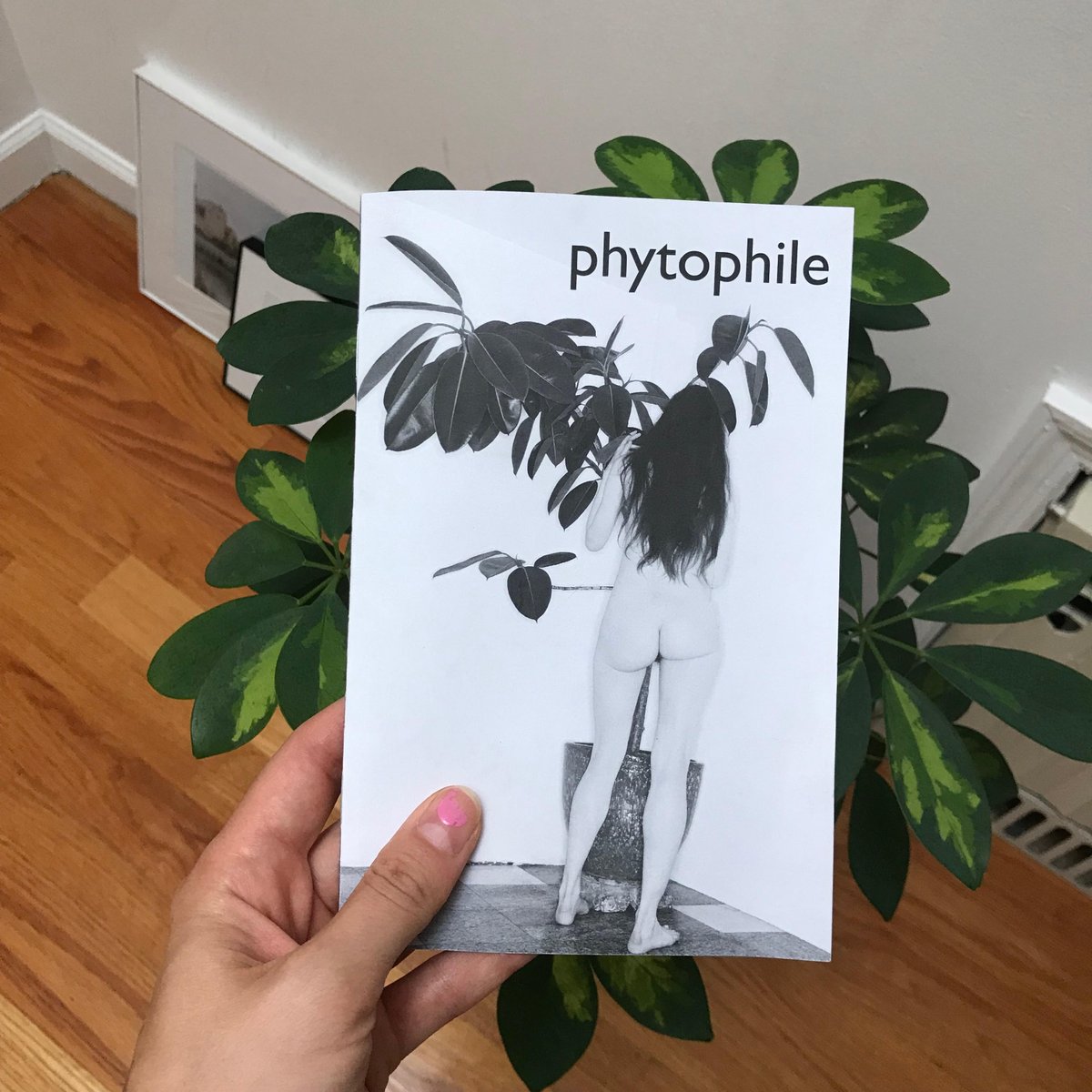 InvestWthD's tweet image. 📸📗 Phytophile by Bela Borsodi

"quirky, sexy, and decidedly offbeat"

🔗 bit.ly/2JNgwBD