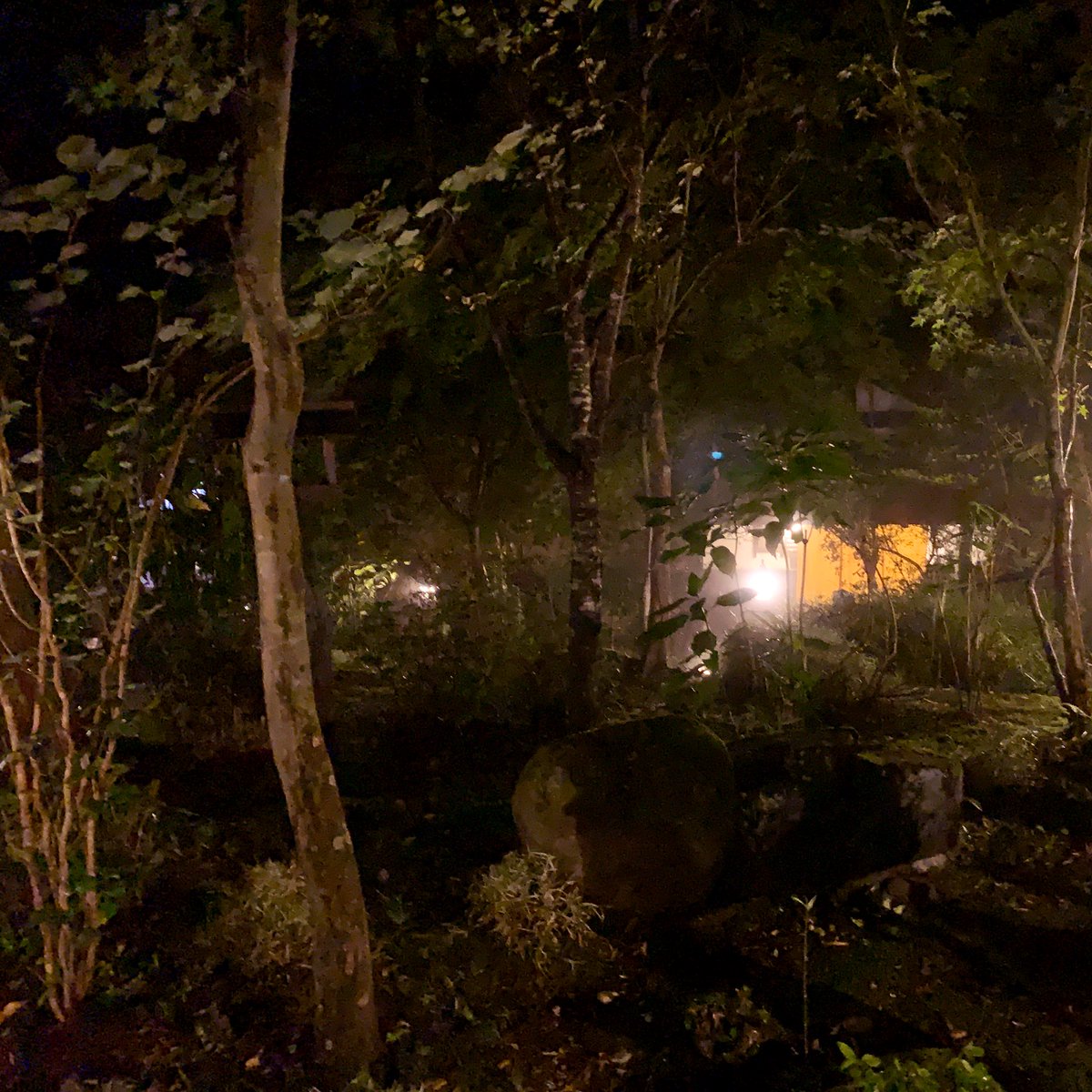 raiden's tweet image. 山は山のまま。🏔
水は水のまま。🌊
木は木のまま。🌲