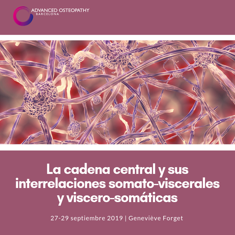 AOsteopathyBCN's tweet photo. Primer posgrado de la próxima temporada: La cadena central y sus interrelaciones somato-viscerales y viscero-somáticas. Imparte Geneviève Forget. Más info en https://t.co/Panlo0W6q6 ¡Recuerda que tienes un 20% de descuento si te inscribes antes del 15 de septiembre! https://t.co/hVDZjcuQFd
