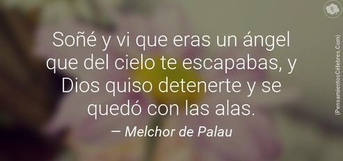 Frases que me caen del cielo y quiero compartirlo con vosotros 🍀.